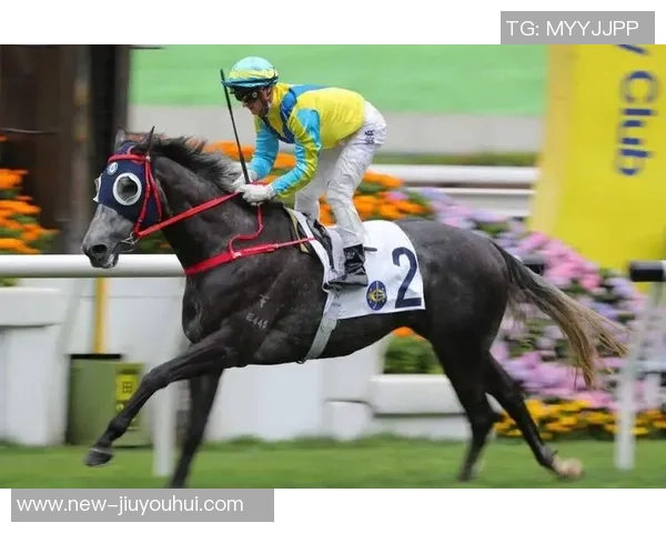 大连足球新星张海涛崭露头角引发球迷热议与期待